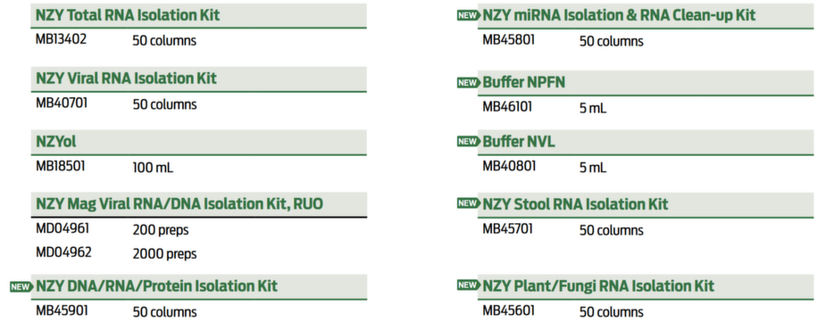 C2024_NZYTech_RNA Aufreinigung.png